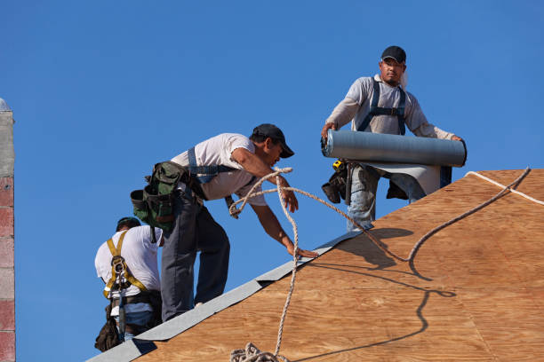 Best Roof Maintenance Services  in Fairfield, AL